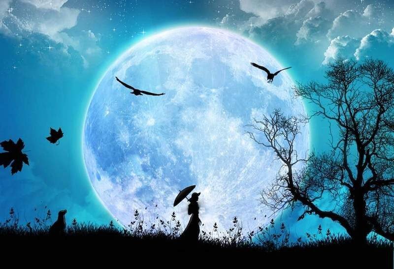 Blue Moon cropped